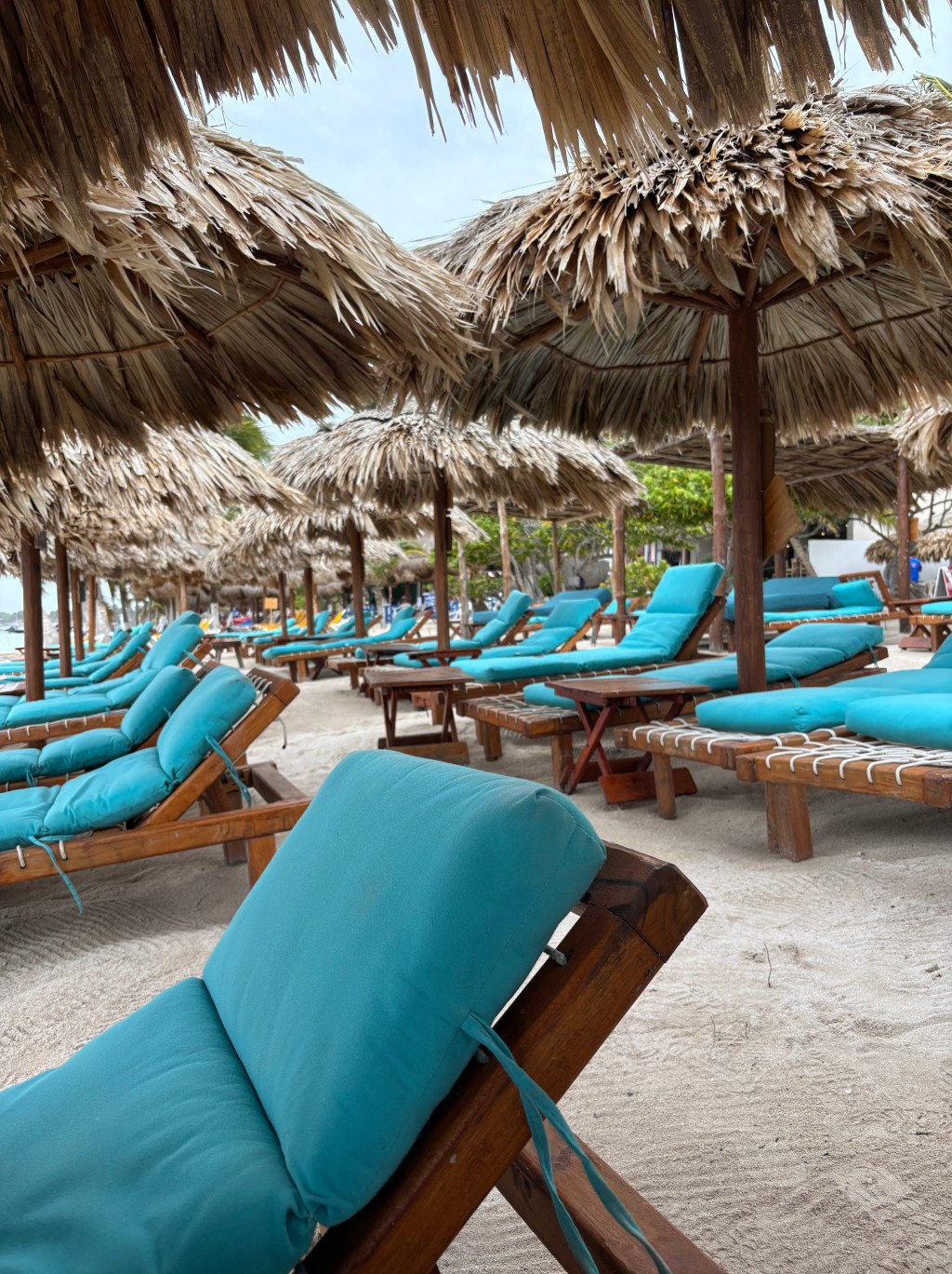 Excursion report: Nacional beach club (Costa&nbsp;Maya)
